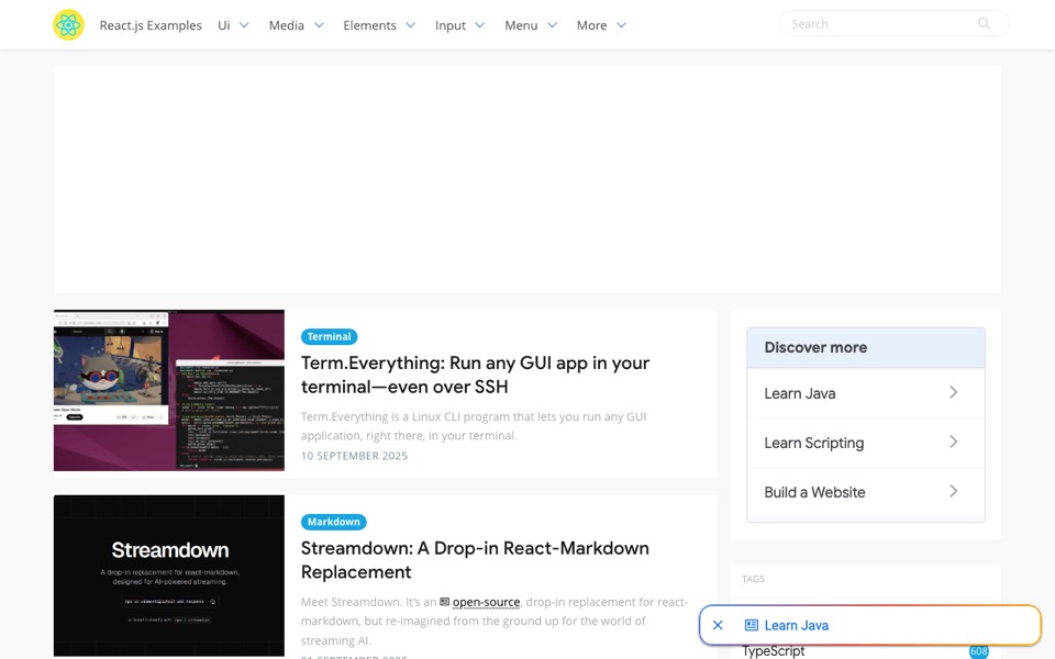 React.js Examples’s website
